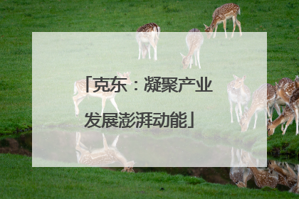 克东：凝聚产业发展澎湃动能