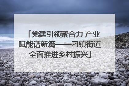 党建引领聚合力 产业赋能谱新篇——刁镇街道全面推进乡村振兴