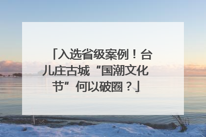 入选省级案例！台儿庄古城“国潮文化节”何以破圈？