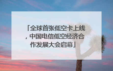 全球首张低空卡上线，中国电信低空经济合作发展大会启幕