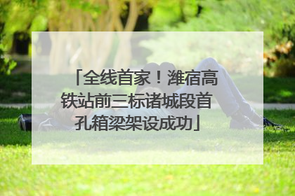 全线首家！潍宿高铁站前三标诸城段首孔箱梁架设成功