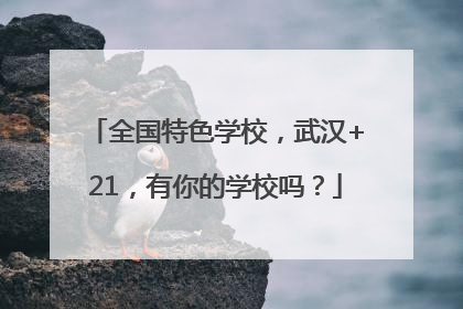 全国特色学校，武汉+21，有你的学校吗？