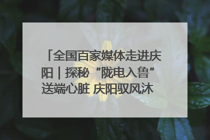 全国百家媒体走进庆阳｜探秘“陇电入鲁”送端心脏 庆阳驭风沐光点亮齐鲁万家