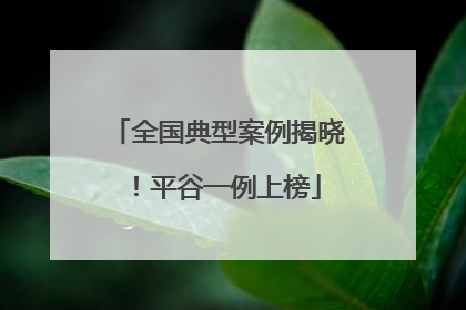 全国典型案例揭晓！平谷一例上榜