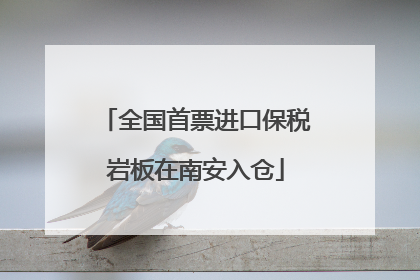 全国首票进口保税岩板在南安入仓