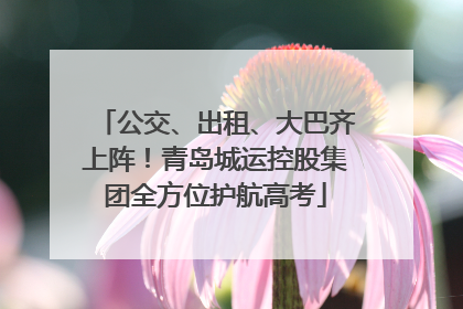 公交、出租、大巴齐上阵！青岛城运控股集团全方位护航高考