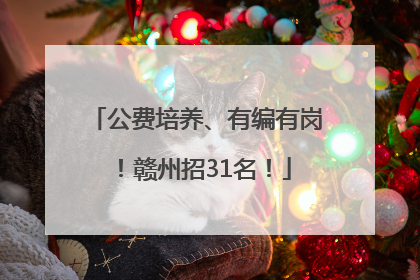公费培养、有编有岗！赣州招31名！
