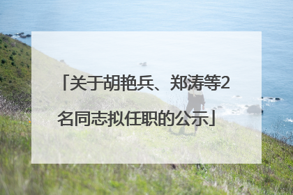 关于胡艳兵、郑涛等2名同志拟任职的公示