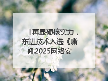 再显硬核实力，东进技术入选《嘶吼2025网络安全产业图谱》