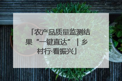 农产品质量监测结果“一键直达”｜乡村行·看振兴