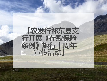 农发行祁东县支行开展《存款保险条例》施行十周年宣传活动