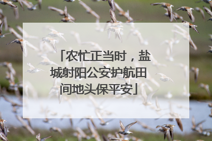 农忙正当时，盐城射阳公安护航田间地头保平安