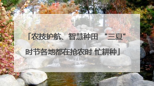 农技护航、智慧种田 “三夏”时节各地都在抢农时 忙耕种