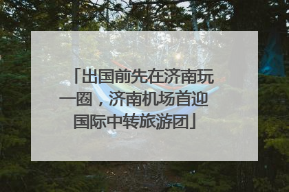 出国前先在济南玩一圈，济南机场首迎国际中转旅游团