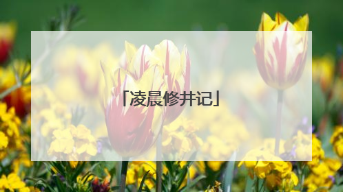 凌晨修井记