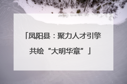 凤阳县：聚力人才引擎 共绘“大明华章”