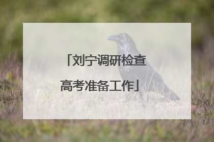刘宁调研检查高考准备工作