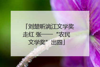 刘楚昕漓江文学奖走红 张一一“农民文学奖”出圈