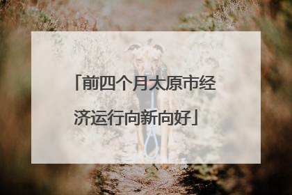前四个月太原市经济运行向新向好