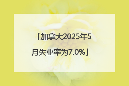 加拿大2025年5月失业率为7.0%