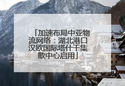 加速布局中亚物流网络：湖北港口汉欧国际塔什干集散中心启用