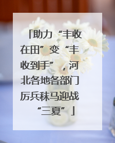 助力“丰收在田”变“丰收到手”，河北各地各部门厉兵秣马迎战“三夏”