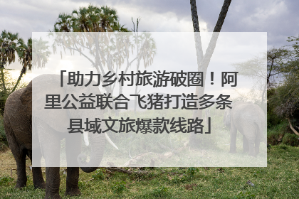 助力乡村旅游破圈！阿里公益联合飞猪打造多条县域文旅爆款线路