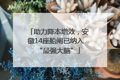 助力降本增效，安徽14座船闸已纳入“最强大脑”