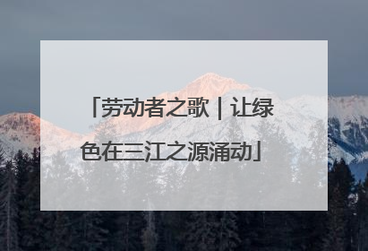 劳动者之歌｜让绿色在三江之源涌动