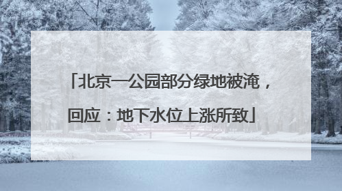 北京一公园部分绿地被淹，回应：地下水位上涨所致