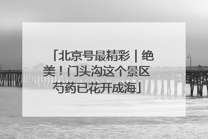 北京号最精彩｜绝美！门头沟这个景区芍药已花开成海