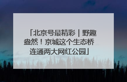 北京号最精彩｜野趣盎然！京城这个生态桥连通两大网红公园