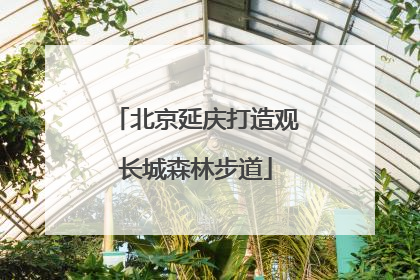 北京延庆打造观长城森林步道