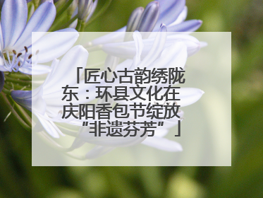 匠心古韵绣陇东：环县文化在庆阳香包节绽放“非遗芬芳”