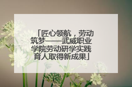 匠心领航，劳动筑梦——武威职业学院劳动研学实践育人取得新成果