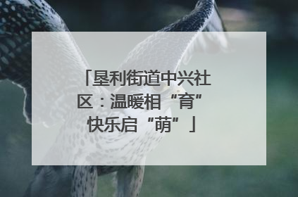 垦利街道中兴社区：温暖相“育” 快乐启“萌”