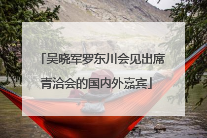 吴晓军罗东川会见出席青洽会的国内外嘉宾
