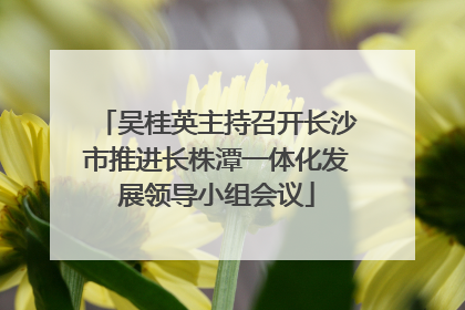 吴桂英主持召开长沙市推进长株潭一体化发展领导小组会议
