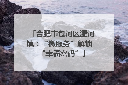 合肥市包河区淝河镇：“微服务”解锁“幸福密码”