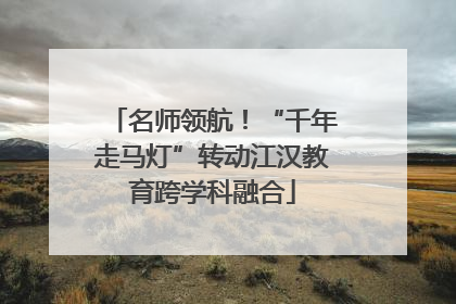 名师领航！“千年走马灯”转动江汉教育跨学科融合
