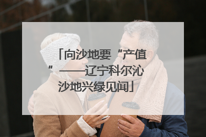 向沙地要“产值”——辽宁科尔沁沙地兴绿见闻