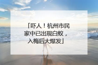 吓人！杭州市民家中已出现白蚁，入梅后大爆发