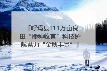 呼玛县111万亩良田“播种收官”科技护航蓄力“金秋丰景”