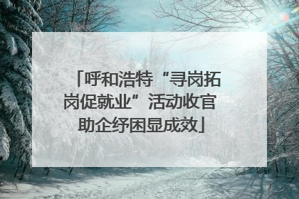 呼和浩特“寻岗拓岗促就业”活动收官 助企纾困显成效
