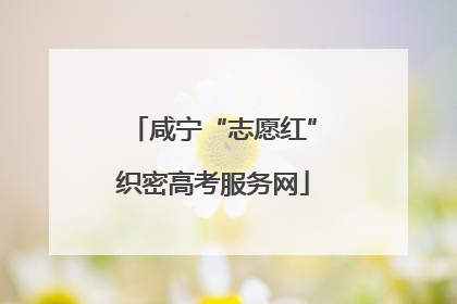 咸宁“志愿红”织密高考服务网
