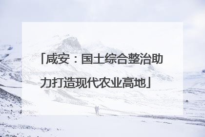 咸安：国土综合整治助力打造现代农业高地