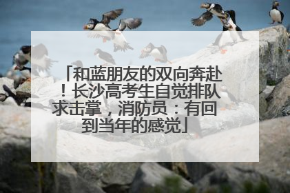 和蓝朋友的双向奔赴！长沙高考生自觉排队求击掌，消防员：有回到当年的感觉
