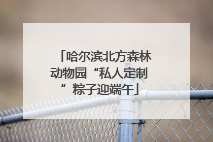 哈尔滨北方森林动物园“私人定制”粽子迎端午