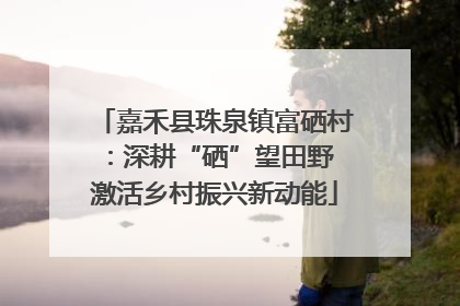 嘉禾县珠泉镇富硒村：深耕“硒”望田野 激活乡村振兴新动能