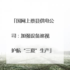 国网上蔡县供电公司：加强设备巡视 护航“三夏”生产